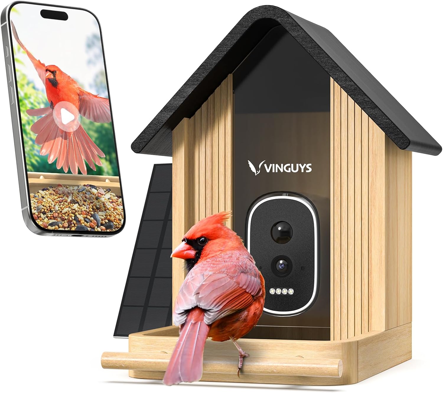 Capture Lifelike Bird Moments in 2.5K UHD