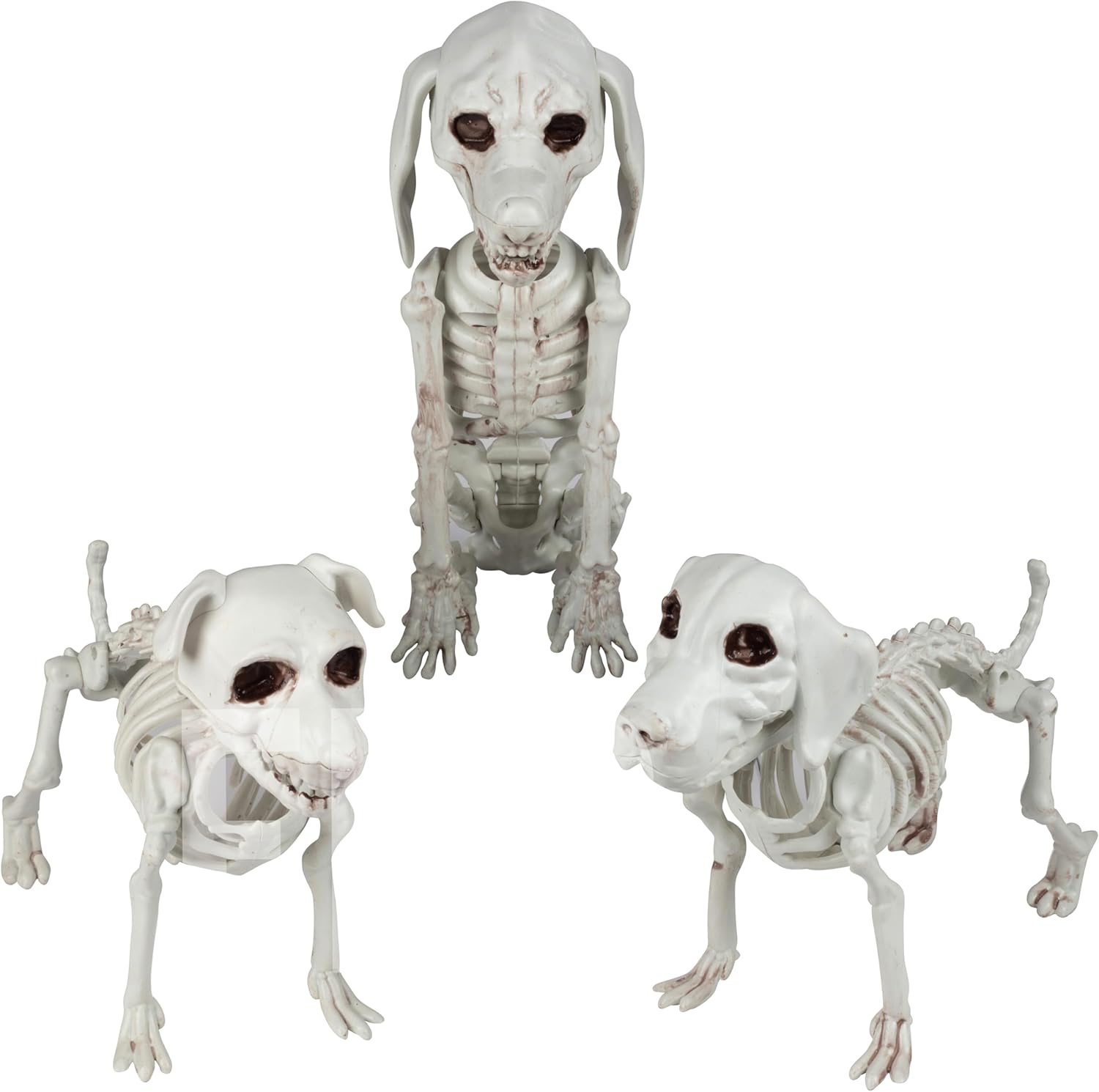 Halloween Dog Skeleton 3 Pack Indoor/Outdoor Decorations