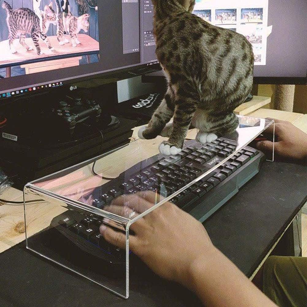 Clear Acrylic Keyboard Cover Protector for Cats and Monitors