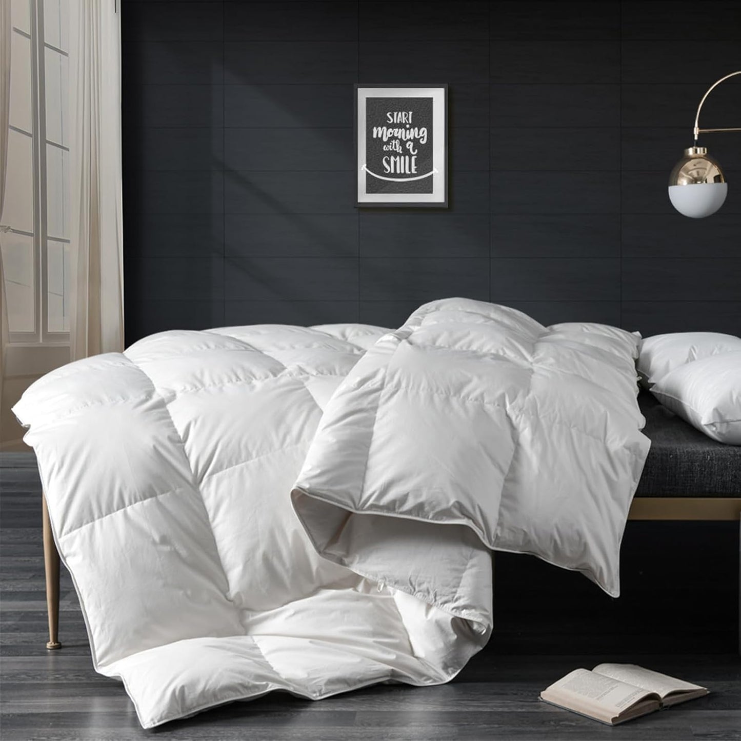 APSMILE Oversized Queen Size Down Feather Duvet Insert for Winter