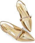 Elisabet Tang Women Slingback Rhinestone Pointed Toe (Style Z1DN)
