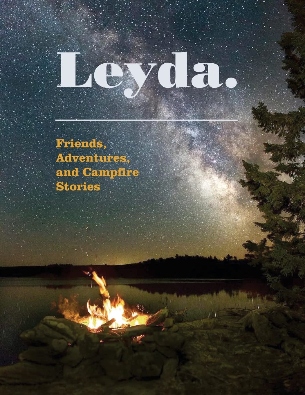 Leyda: Friends, Adventures, and Campfire Stories Book Review