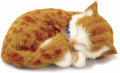 Perfect Petzzz Orange Tabby Cat Lifelike Plush Companion - Realistic