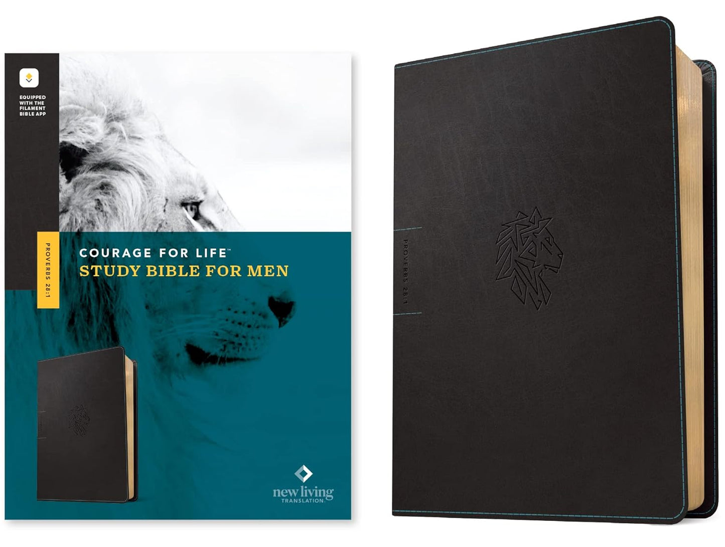 NLT Courage For Life Study Bible for Men: A Powerful Resource