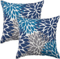 Outdoor Pillows Pack of 2 18x18 Waterproof Decorative Throw Pillows PP