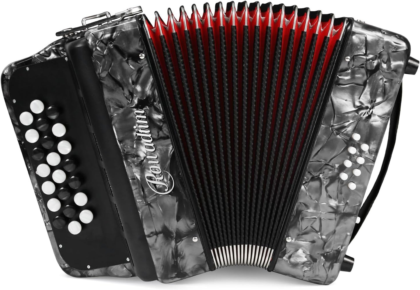 22-Key 8-Bass Accordion for Beginners - Lightweight & Vibrant