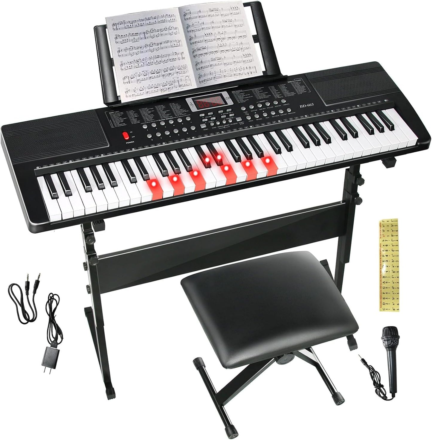 61 Key Electric Piano Keyboard for Beginners and Professionals