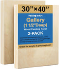 Falling in Art 30x40 Unfinished Wooden Canvas Panels 2 Pack - Deep 1