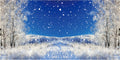 20x10ft Dreamy Forest Snowflake Background Winter Alps Snowy Landscape