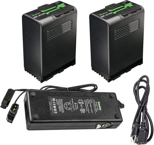 Kastar BP-A100 Battery 2 Pack with Dual D-Tap Charger Kit