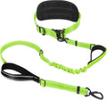 Hands Free Dog Leash for Large & Medium Breeds with Wide Waist Belt