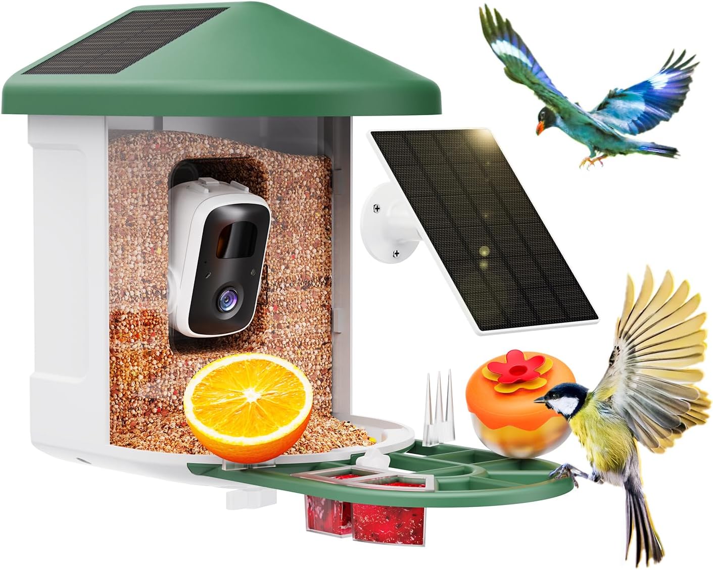 Smart Bird Feeder with AI Cam - Identify Birds Instantly