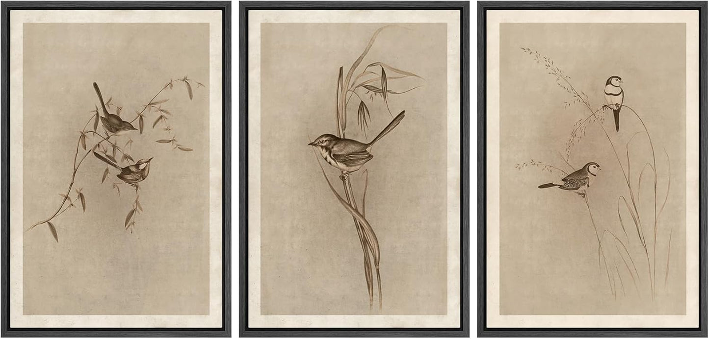 MUDECOR Framed Wall Art Print Set for Vintage Bird Illustrations