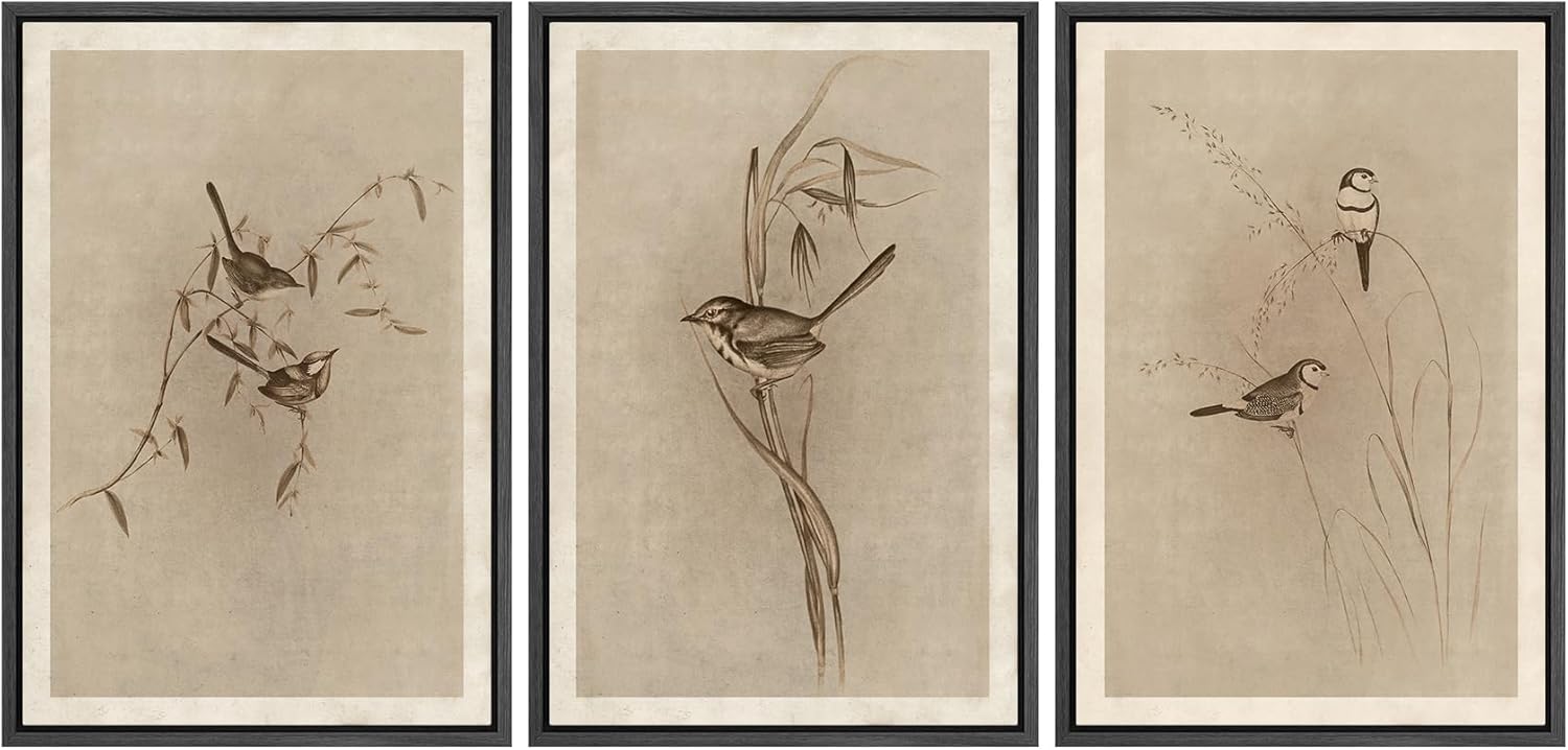 MUDECOR Framed Wall Art Print Set for Vintage Bird Illustrations