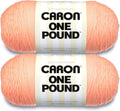 Caron One Pound Peach Yarn - Perfect for Knitting and Crochet