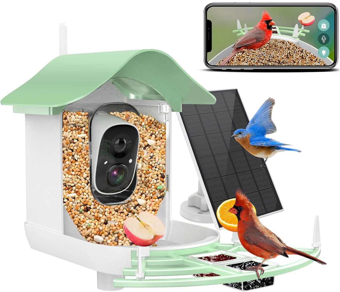 AI Bird Feeder: Identify & Record 2K Video, Live View