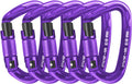 UIAA Certified Heavy Duty Locking Carabiner Clips 25kN - Pack of 5