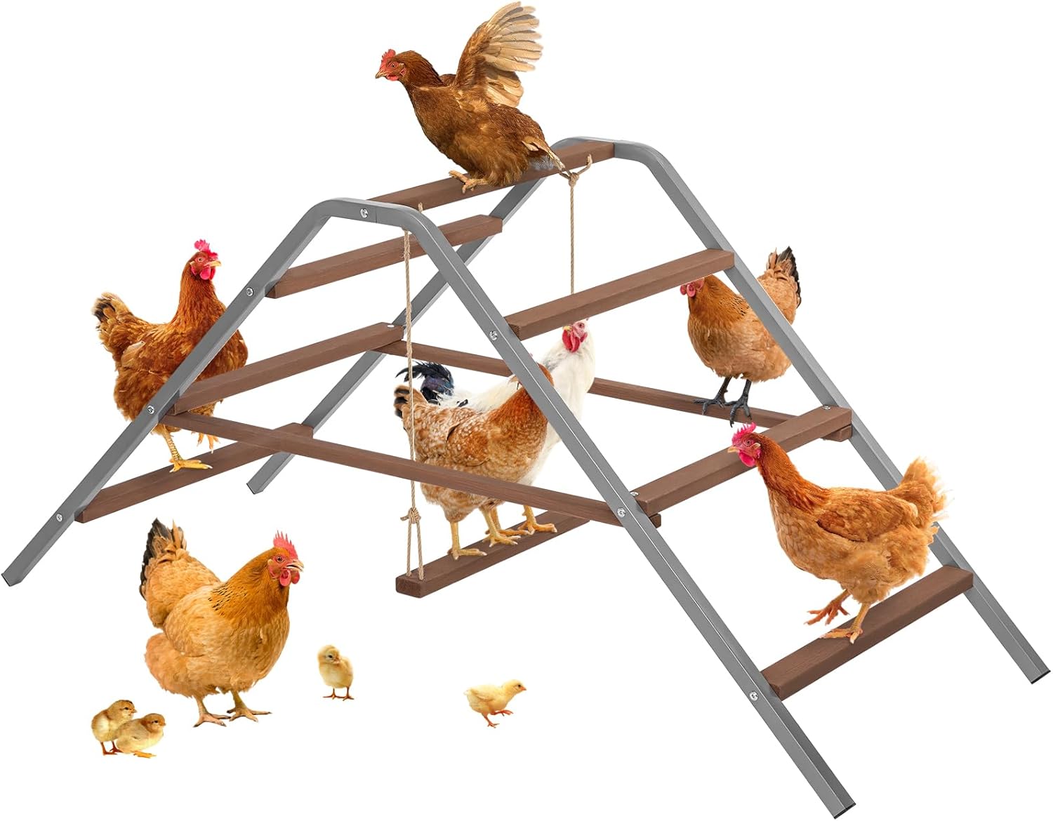 PETSFIT Chicken Roosting Bar for Healthy Poultry and Fun Play