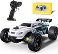 Tecnock RC Cars Remote Control Car 1:18 Scale - Fast 20 KM/H Fun