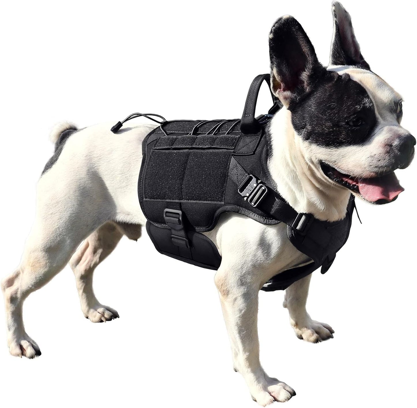 PETNANNY Tactical Service Dog Vest for Training & Hunting