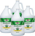Clorox Healthcare AloeGuard Antimicrobial Hand Soap - 1 gal 4 Pack