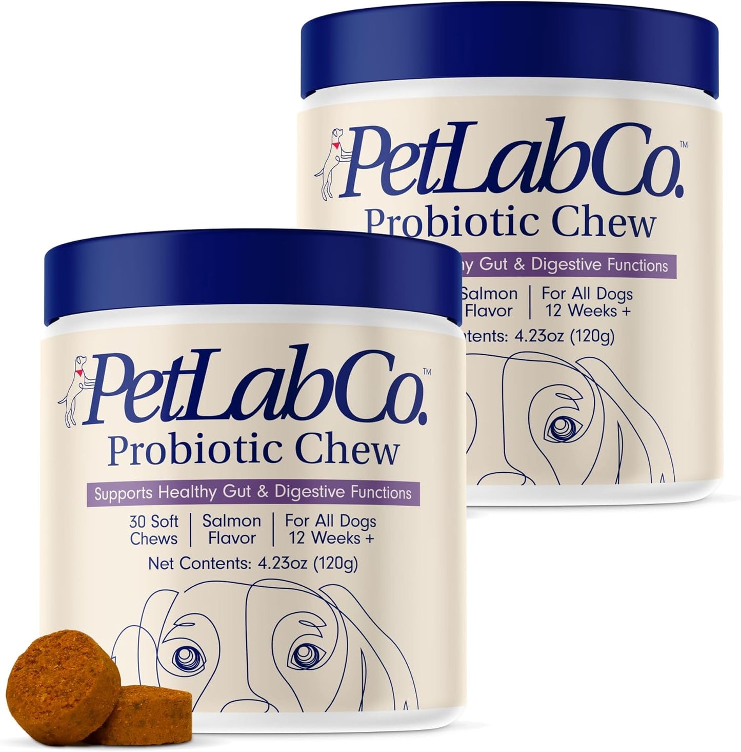 Probiotics for Dogs by PetLab Co. - Support Gut Health & More