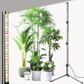 Grow Lights for Indoor Plants - Height Adjustable Side Lighting