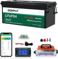 48V 100Ah LiFePO4 Golf Cart Battery - 5.12kWh, 200A BMS