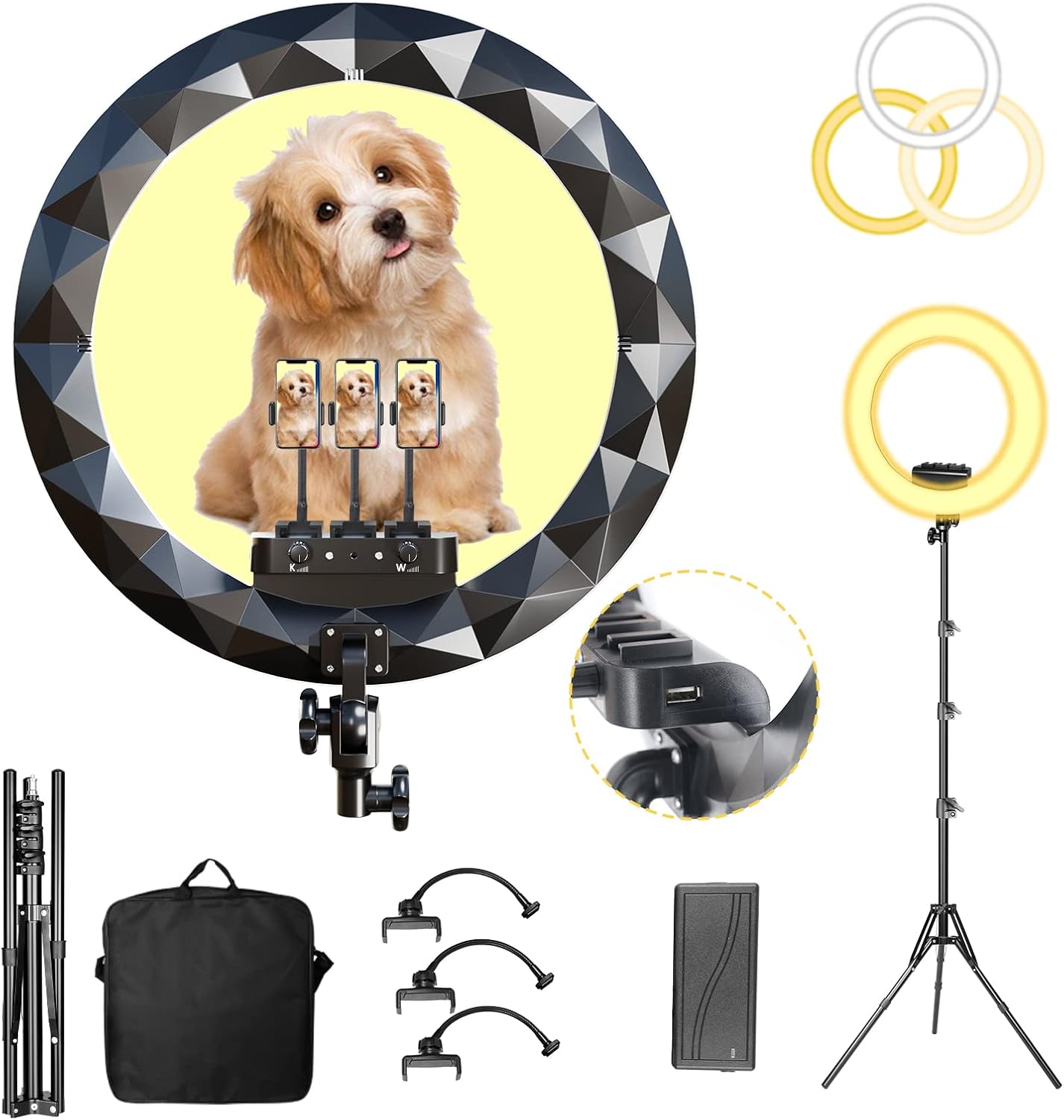 19in LED Selfie Circle Light with Adjustable Tripod Stand