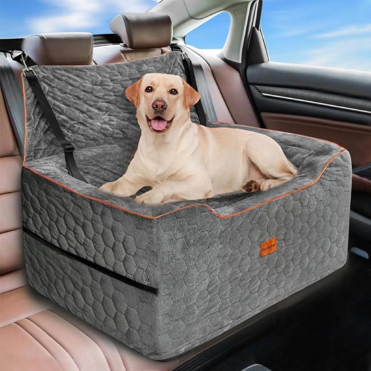 Portable Dog Car Seat for Two!