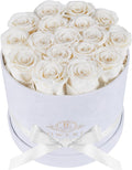 17 Flowers in a Luxury Suede Box Preserved Roses - Lasting Keepsake