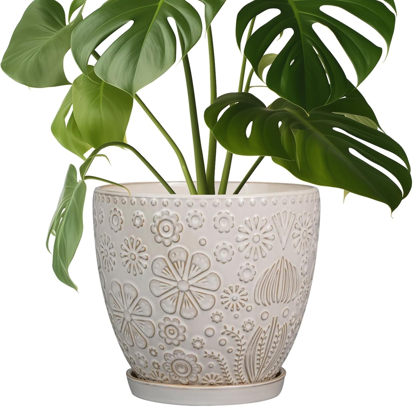 Ceramic Planter 8 Inch Pot with Drainage Hole for Home Decor