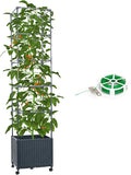 Raised Garden Bed with Tomato Cage 67.6 in - Space-Saving