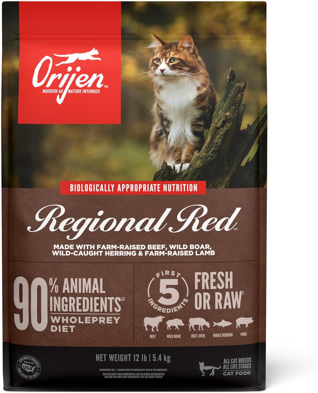 ORIJEN Grain Free High Protein Dry Cat Food Regional Red Recipe
