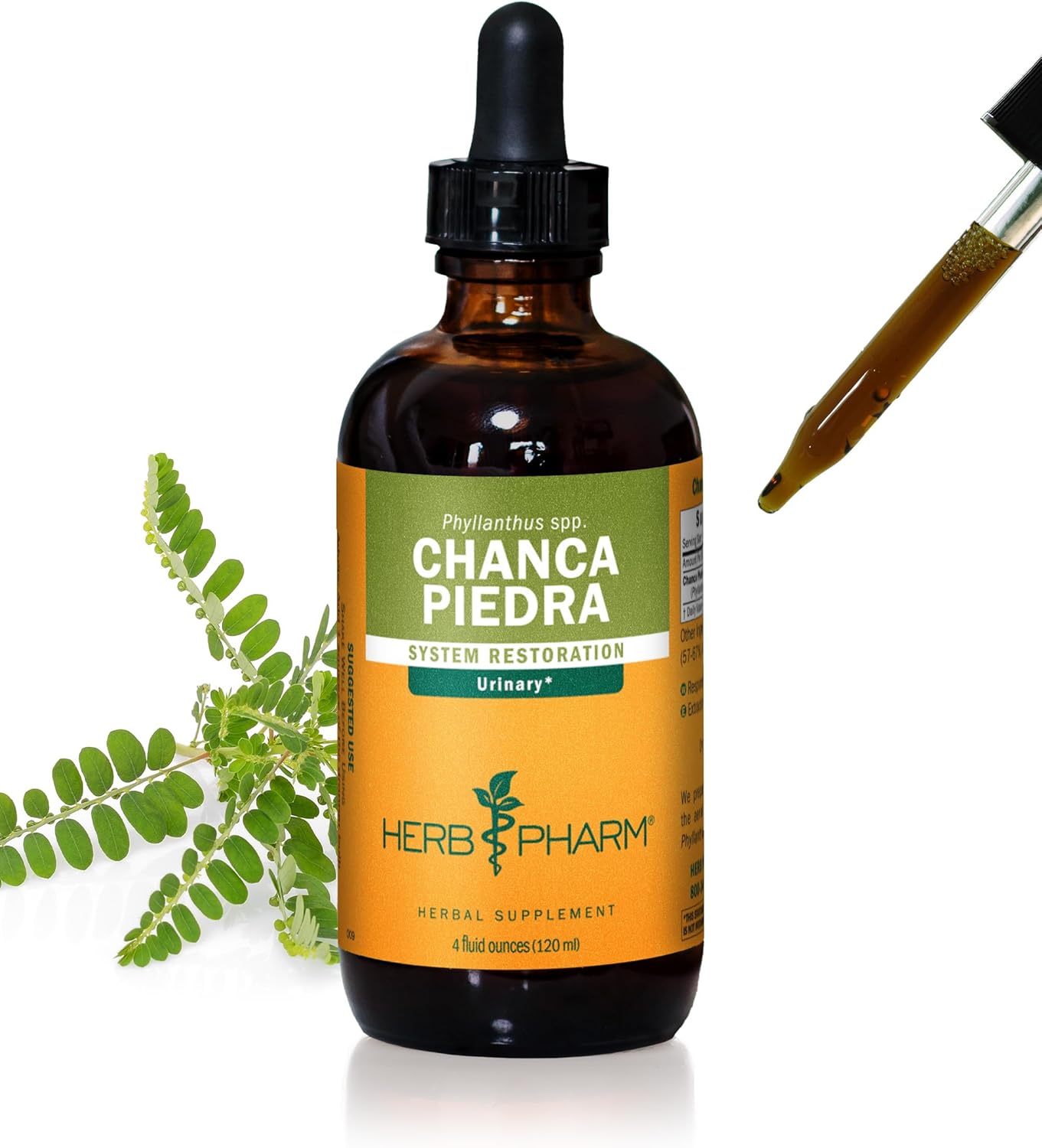 Herb Pharm Chanca Piedra Liquid Extract for Urinary Health