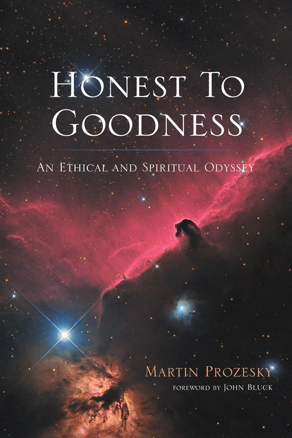 Honest to Goodness: An Ethical and Spiritual Odyssey Review
