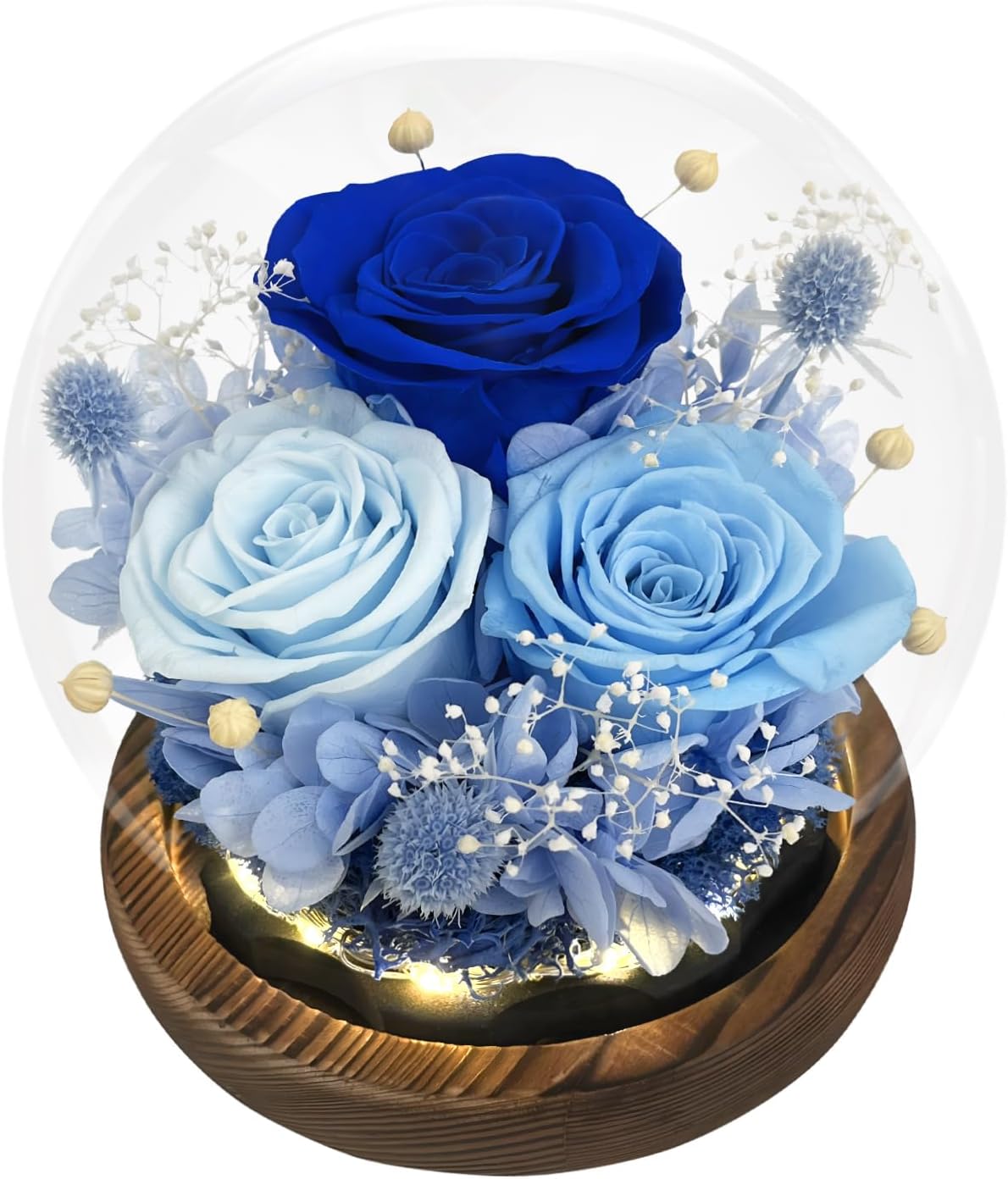 Preserved Flowers in Glass Dome - Long-Lasting Eternal Roses