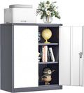 INTERGREAT Metal Storage Cabinet for Home and Office Organization