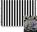 8x6ft Black and White Vertical Stripe Background - Newborn Photo