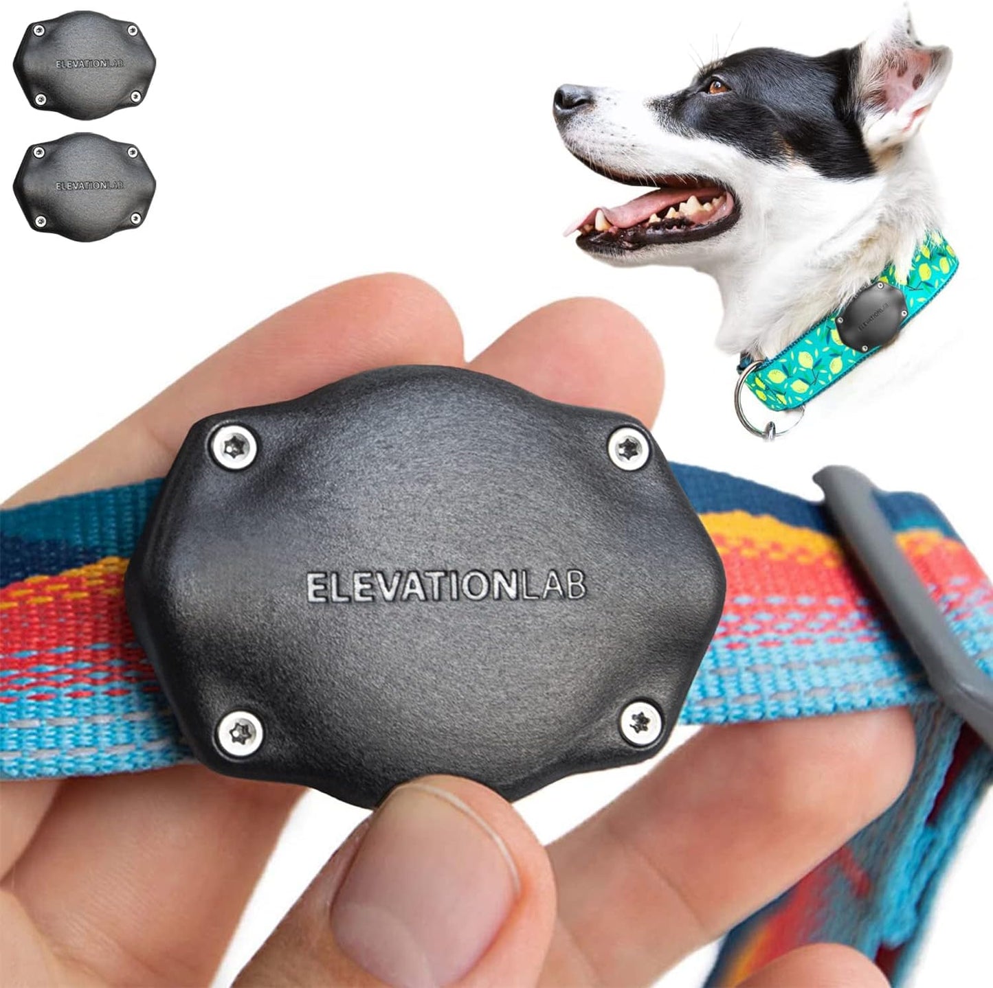 Secure AirTag Dog Collar Mount - Waterproof & Non-Dangling Design