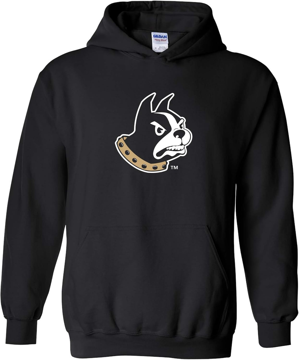 UGP Campus Apparel NCAA Primary Logo Hoodie for School Spirit
