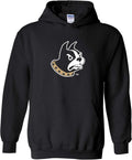 UGP Campus Apparel NCAA Primary Logo Hoodie - Comfortable Campus just