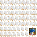Mini Canvas with Easel Set 64 Pack - Compact 4 x 4 in Painting Kit