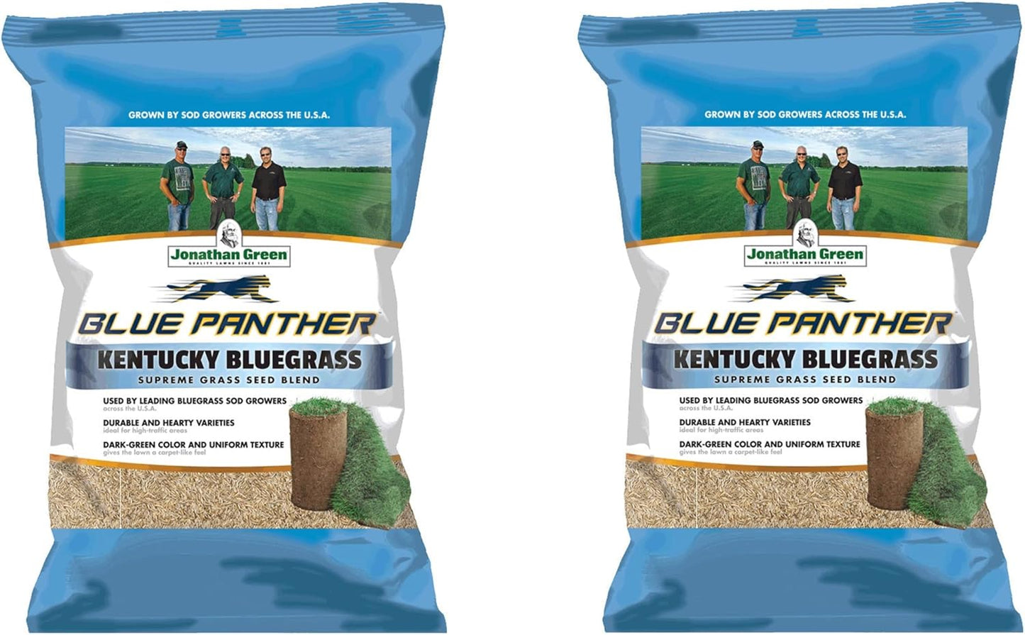Blue Panther Kentucky Bluegrass Seed for Lush Cool Season Lawns