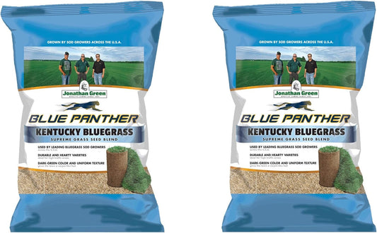 Blue Panther Kentucky Bluegrass Seed for Lush Cool Season Lawns