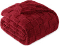 Exclusivo Mezcla Queen Size Flannel Fleece Blanket - Super Soft Deep