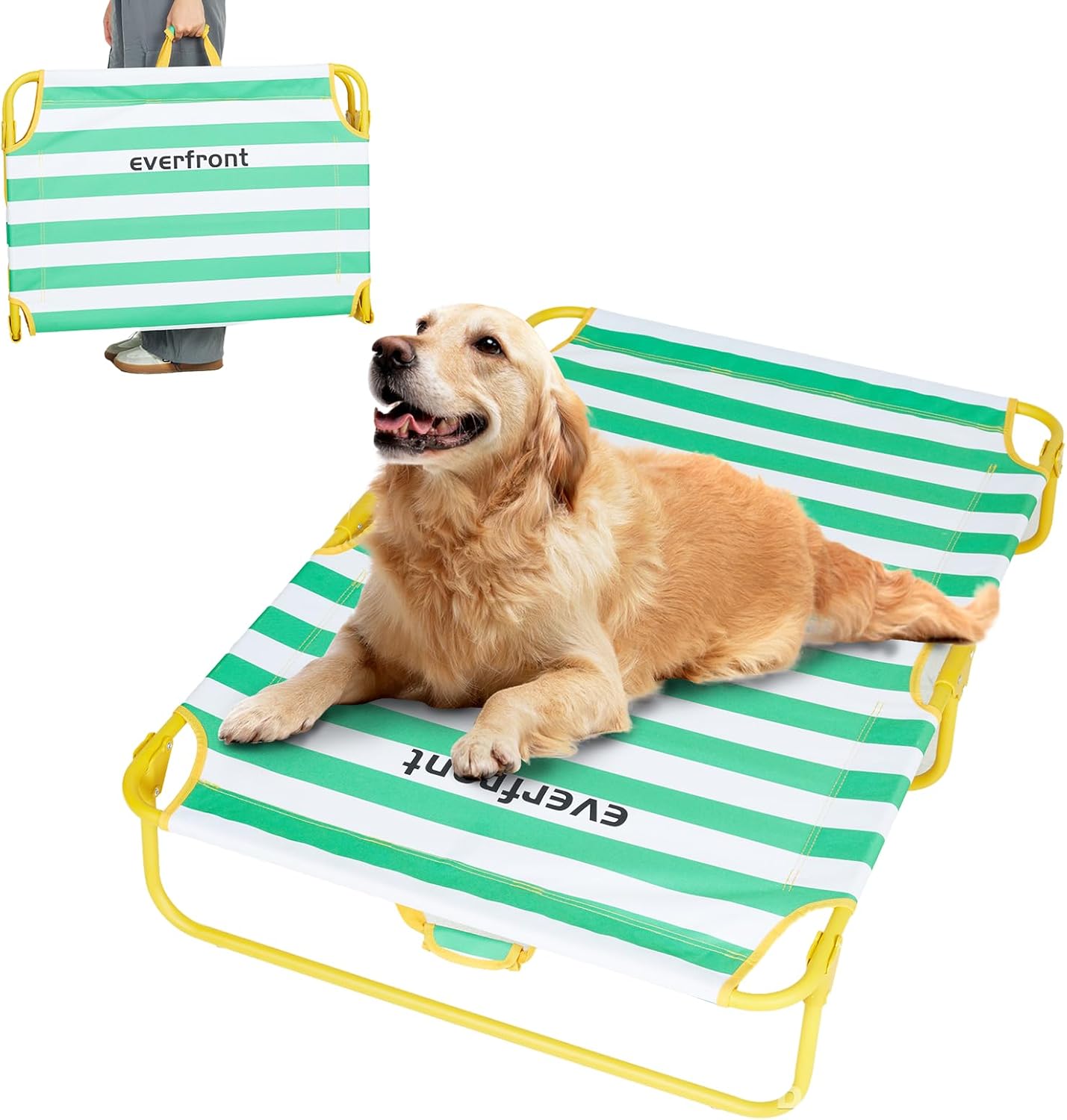 Dog Elevated Bed Foldable Portable Raised Bed for Large Dogs