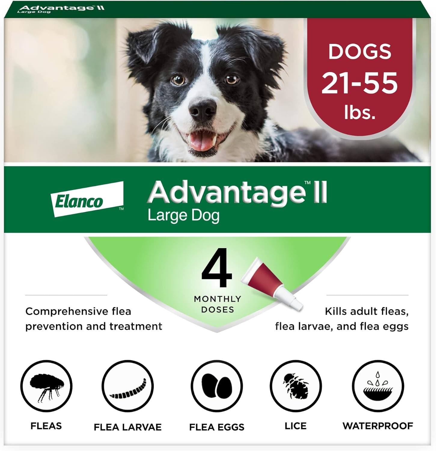 Advantage II Large Dog Flea Treatment for Dogs 21-55 lbs
