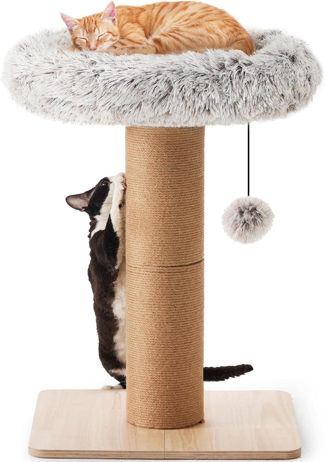 30 Inch Tall Cat Scratching Post with Cozy Perch for Cats
