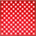 Red Light Therapy Device for Skin Beauty and Pain Relief